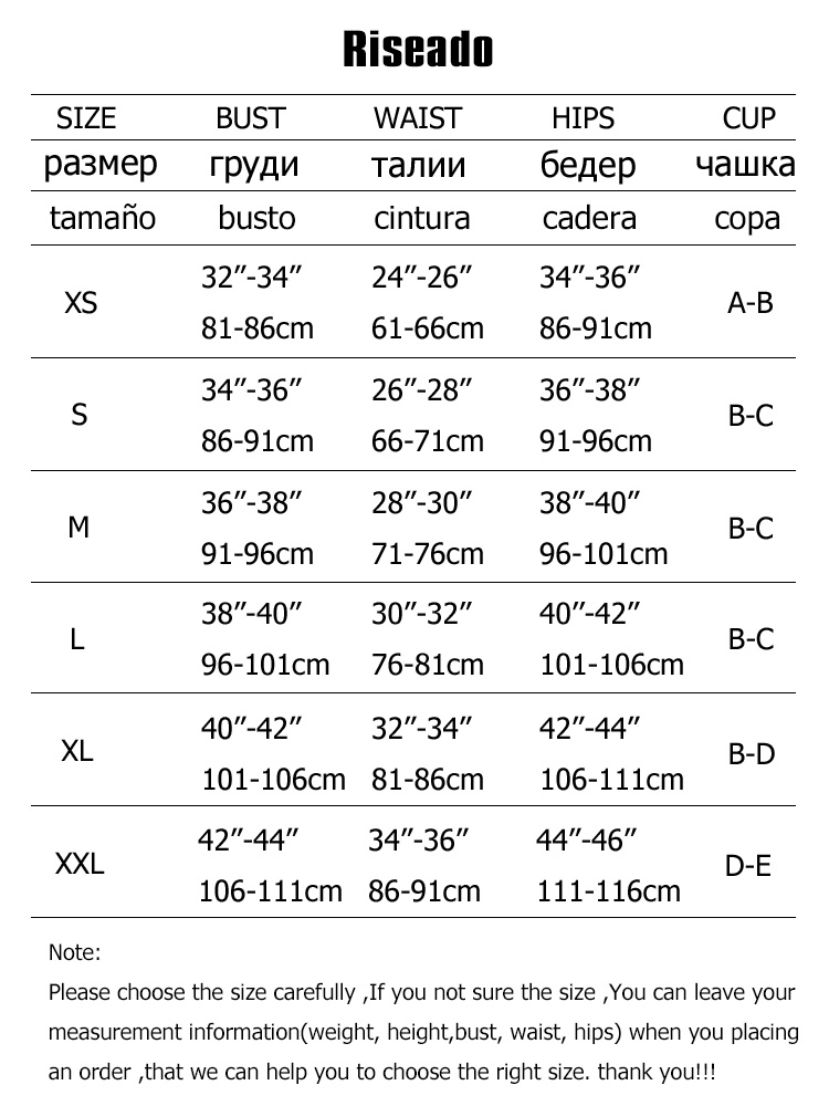 Riseado Mesh One Piece Swimsuit Women Swimwear 2023 Sexy Swimming Suit for Women Monokini Plus Size Bath Suits Black High Neck